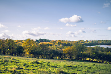 Image showing Autumn landscape with colorful trees