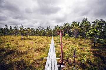 Image showing Hiking trail with a red post