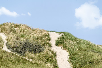 Image showing Danish coast landscape with dunes