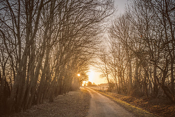 Image showing Winding road in the sunrise with trees