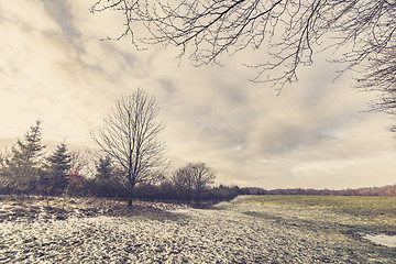 Image showing Rural field in the winter with barenaked trees