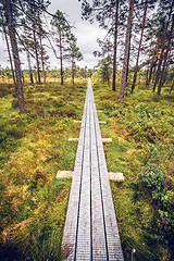 Image showing Trail of planks in a Scandinavian forest