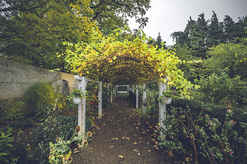 Image showing Garden corridor in the fall with autumn leaves