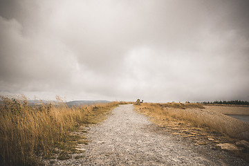 Image showing Dirt trail with golden grass on both sides