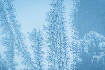 Image showing Frosty cyan blue window with snowflake patterns