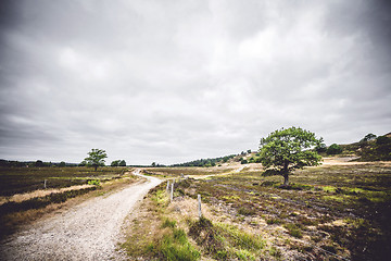 Image showing Road going through an area with dry plains