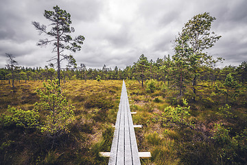 Image showing Wooden trail in the wilderness with trees