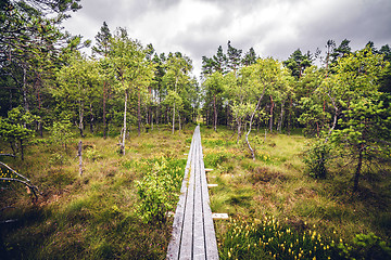 Image showing Wooden nature trail made of planks