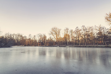 Image showing Trees around a frozen lake in the winter