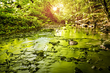 Image showing Green trees reflecting in a river running through