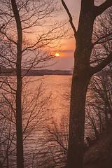 Image showing Golden sunrise between the trees