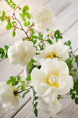 Image showing Bouquet of white garden roses, close-up