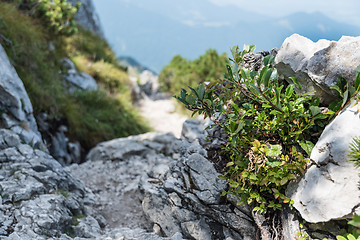 Image showing Landscape Kampenwand Bavaria