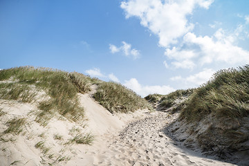 Image showing Dune on a beach with lyme grass