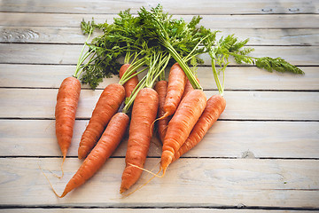 Image showing Raw carrots with green plants