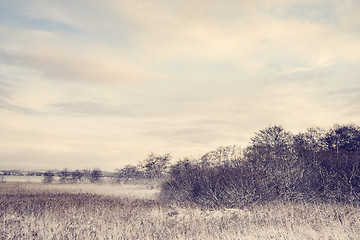 Image showing Idyllic winter landscape with frosty trees