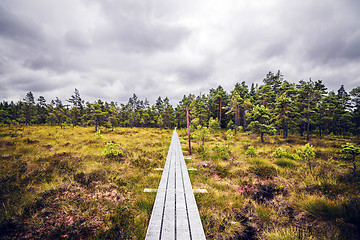 Image showing Landscape with fields of grass and a hiking trail