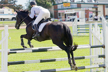 Image showing Horse Jumping