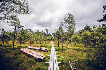 Image showing Wooden trail on a meadow