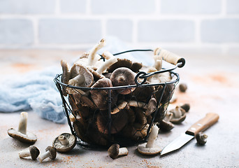 Image showing raw mushrooms