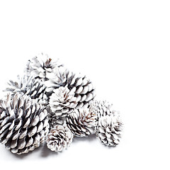 Image showing White decorative pine cones.