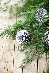 Image showing Evergreen fir tree branch and white pine cones.