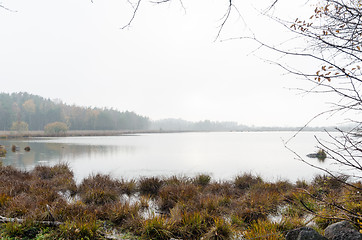 Image showing Misty pond at fall season