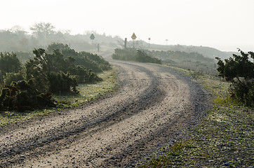 Image showing Misty winding gravel road