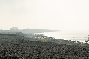 Image showing Foggy coastline by fall season