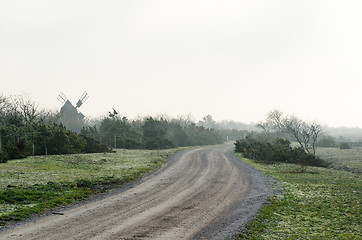 Image showing Misty gravel road among junipers