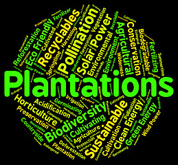 Image showing Plantations Word Represents Ranches Farms And Farm