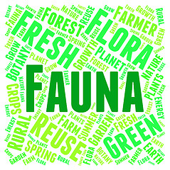 Image showing Fauna Word Indicates Animal Kingdom And Area