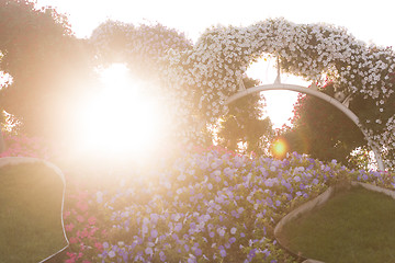 Image showing Dubai miracle garden