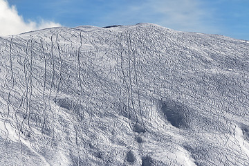 Image showing Slope for freeride with traces from skis and snowboards