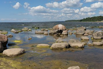 Image showing Baltic sea coast in summer vacation