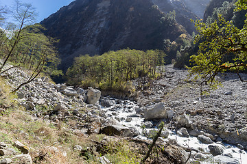 Image showing Nepal trekking in Langtang valley