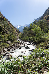 Image showing Mountain river in Nepal Himalaya