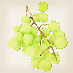 Image showing Healthy fruits Green wine grapes isolated white background. Bunc