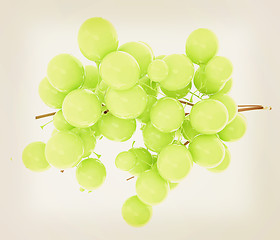 Image showing Healthy fruits Green wine grapes isolated white background. Bunc