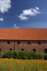 Image showing  Vor Frue Monastery, a Carmelite monastery in Elsinore (Helsing