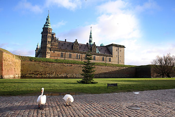 Image showing Swans at Kronborg Castle