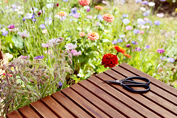 Image showing Scissors on a table next to a blooming flower bed