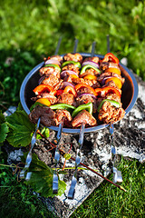 Image showing Shashlik On The Grass