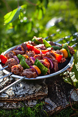 Image showing Shashlik On The Grass