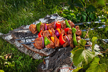 Image showing Shashlik On The Grass