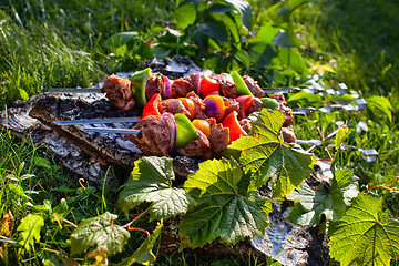 Image showing Shashlik On The Grass