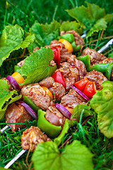 Image showing Shashlik On The Grass