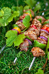 Image showing Shashlik On The Grass