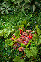 Image showing Shashlik On The Grass