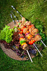 Image showing Shashlik On The Grass